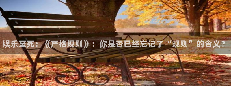辉达平台登陆
