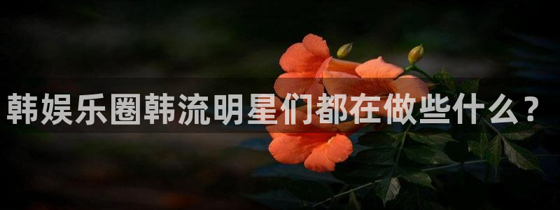 辉达平台体育eon