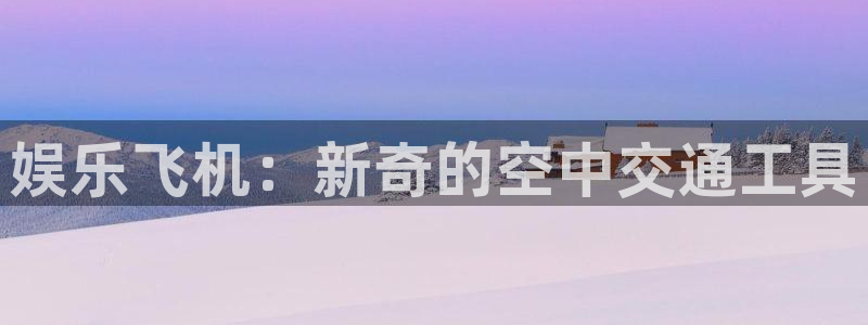 辉达平台体育平台登录入口：娱乐飞机：新奇的空中交通工具