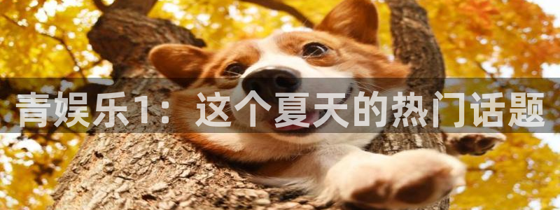 辉达平台网站：青娱乐1：这个夏天的热门话题