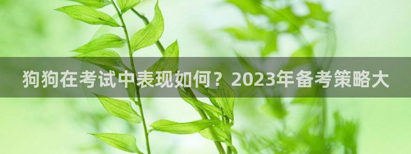 pg辉达平台平台下载入口：狗狗在考试中表现如何？2023年备考策略大