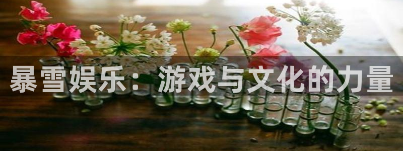 辉达平台.ccm苹果版：暴雪娱乐：游戏与文化的力量