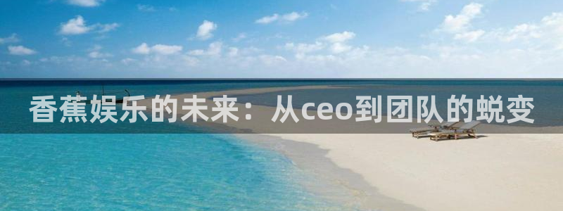 辉达平台体育：香蕉娱乐的未来：从ceo到团队的蜕变
