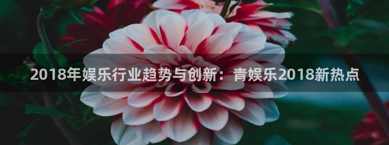 辉达平台注册入口：2018年娱乐行业趋势与创新：青娱乐2018新热点