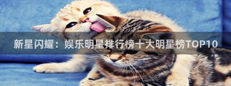 辉达平台注册：新星闪耀：娱乐明星排行榜十大明星榜TOP10