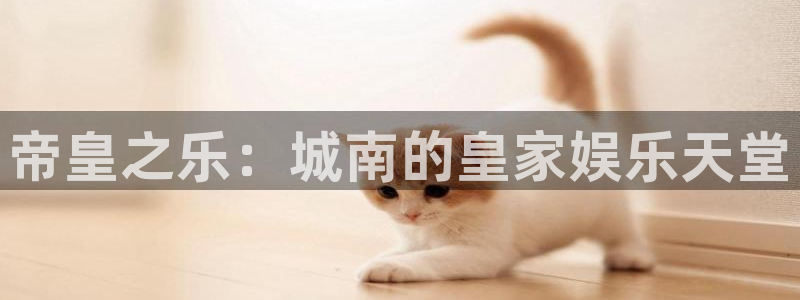 辉达平台体育凯捷登陆：帝皇之乐：城南的皇家娱乐天堂