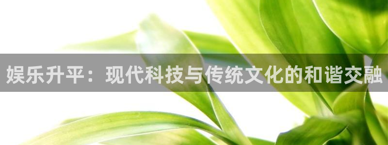 辉达平台那个爆率高：娱乐升平：现代科技与传统文化的和谐交融