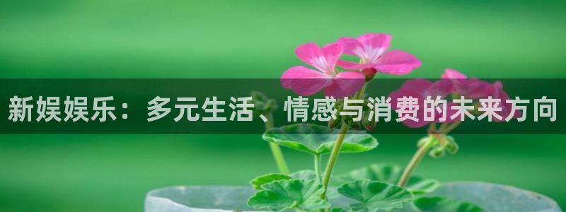 辉达平台平台在线注册：新娱娱乐：多元生活、情感与消费的未来方向