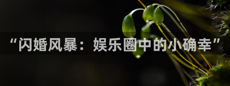 辉达平台加拿大：“闪婚风暴：娱乐圈中的小确幸”