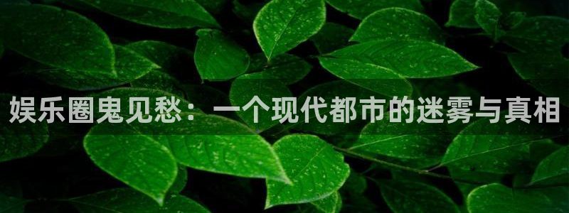 辉达平台环保：娱乐圈鬼见愁：一个现代都市的迷雾与真相