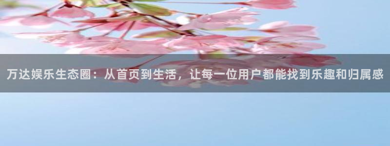 辉达平台体育3在线注册：万达娱乐生态圈：从首页到生活，让每一位用户都能找到乐趣和