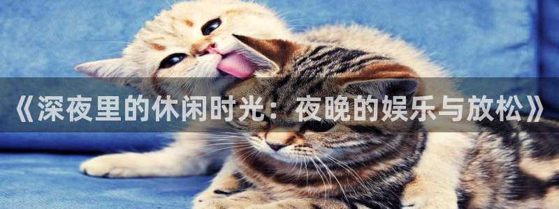 辉达平台在线下载：《深夜里的休闲时光：夜晚的娱乐与放松》