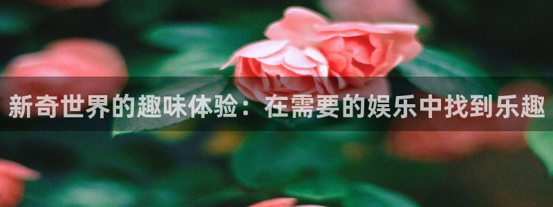 辉达平台网页版登：新奇世界的趣味体验：在需要的娱乐中找到乐趣