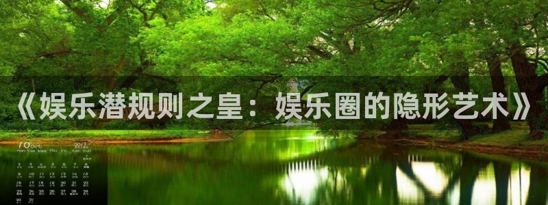 辉达平台登录注册：《娱乐潜规则之皇：娱乐圈的隐形艺术》