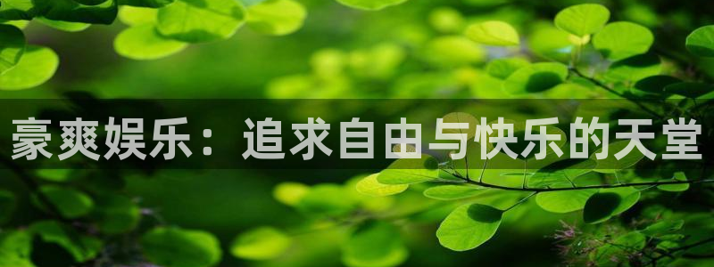 辉达平台凯捷注册：豪爽娱乐：追求自由与快乐的天堂