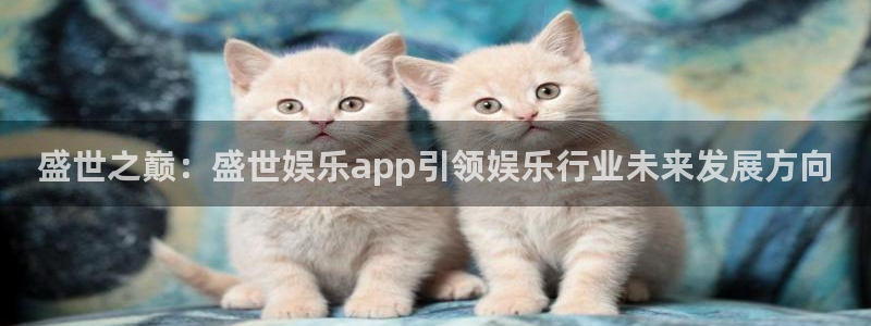 辉达平台2官网：盛世之巅：盛世娱乐app引领娱乐行业未来发展方向