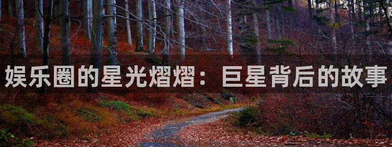 辉达平台5注册：娱乐圈的星光熠熠：巨星背后的故事