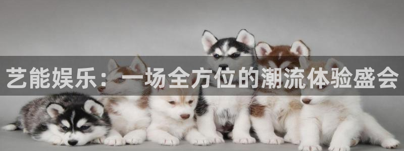 辉达平台体育用品：艺能娱乐：一场全方位的潮流体验盛会