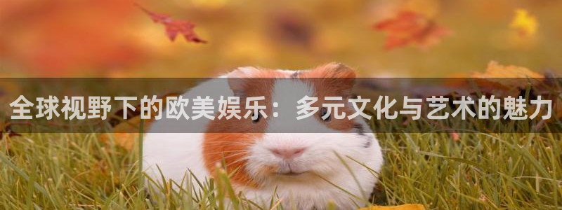 辉达平台体育老板是谁：全球视野下的欧美娱乐：多元文化与艺术的魅力