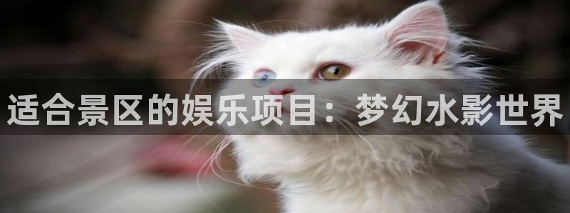 辉达平台平台登录：适合景区的娱乐项目：梦幻水影世界