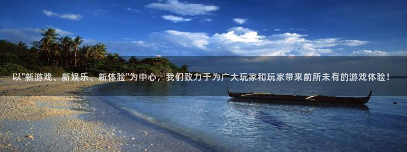 辉达平台是啥：以\