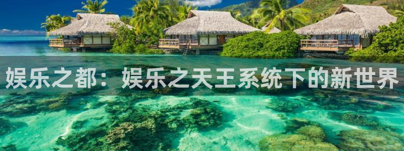 辉达平台：娱乐之都：娱乐之天王系统下的新世界