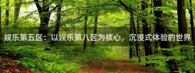 辉达平台凯捷平台注册链接：娱乐第五区：以娱乐第八区为核心，沉浸式体验的世界