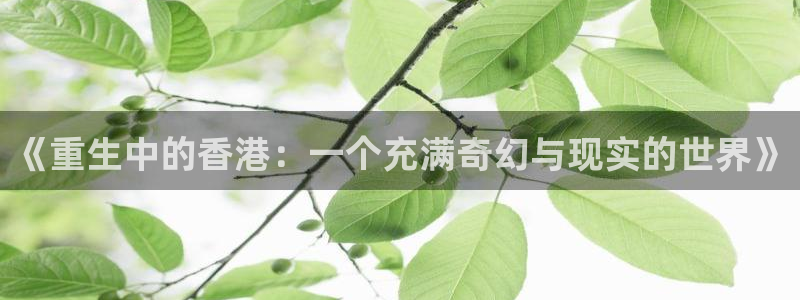辉达平台4官网：《重生中的香港：一个充满奇幻与现实的世界》