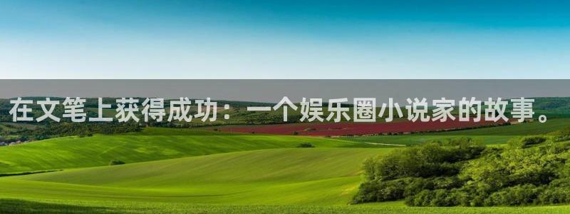 辉达平台平台：在文笔上获得成功：一个娱乐圈小说家的故事。