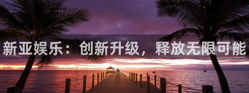 辉达平台注册登录入口：新亚娱乐：创新升级，释放无限可能