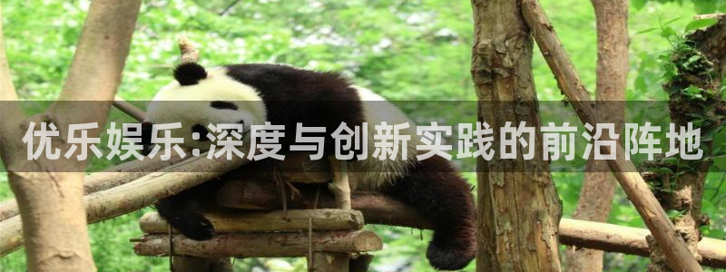 辉达平台预测pc在线预测网址：优乐娱乐:深度与创新实践的前沿阵地