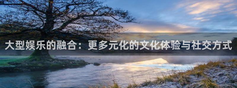 辉达平台注册：大型娱乐的融合：更多元化的文化体验与社交方式