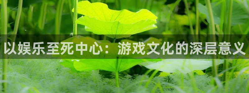 辉达平台怎么下载：以娱乐至死中心：游戏文化的深层意义