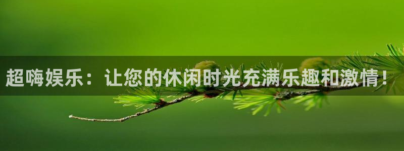 辉达平台官网地址：超嗨娱乐：让您的休闲时光充满乐趣和激情！