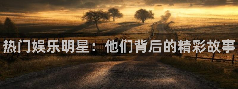 辉达平台可靠吗：热门娱乐明星：他们背后的精彩故事