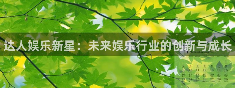辉达平台是什么平台：达人娱乐新星：未来娱乐行业的创新与成长