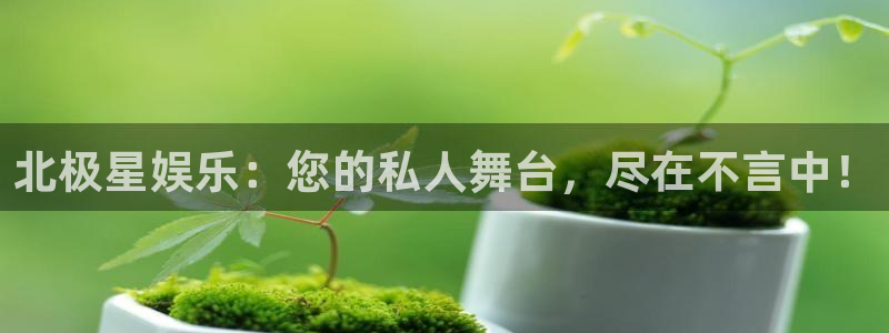 辉达平台路线1：北极星娱乐：您的私人舞台，尽在不言中！