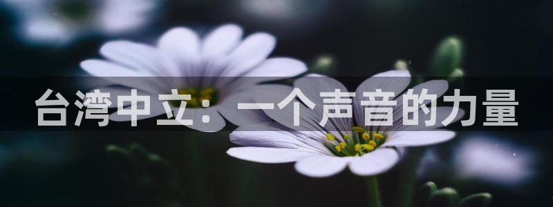 辉达平台登录界面入口：台湾中立：一个声音的力量