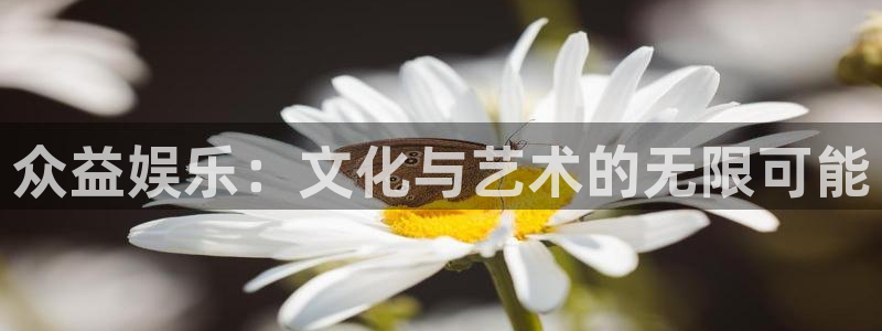 辉达平台2官网：众益娱乐：文化与艺术的无限可能
