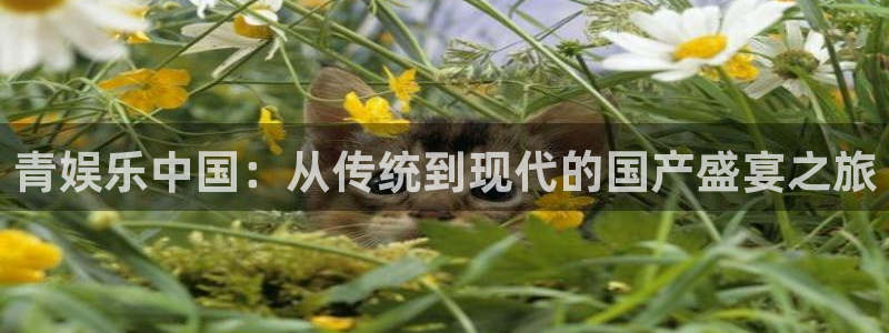 辉达平台2平台注册：青娱乐中国：从传统到现代的国产盛宴之旅